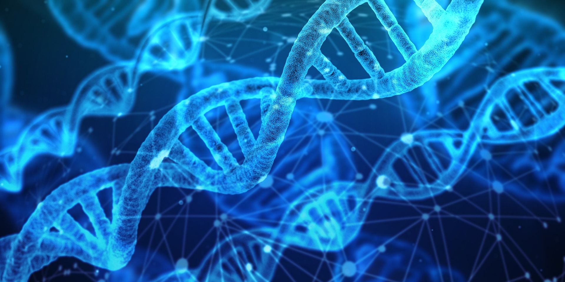 Генетик. DNA elements. Сапфир геномика. Геномика мультик. Ген ces-2.